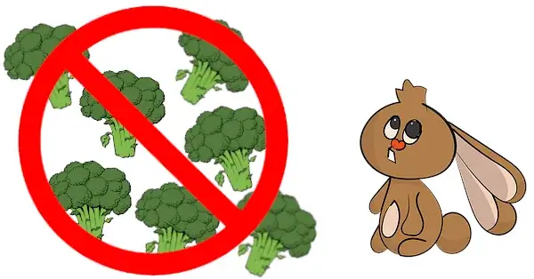 Niet teveel broccoli geven aan een konijn